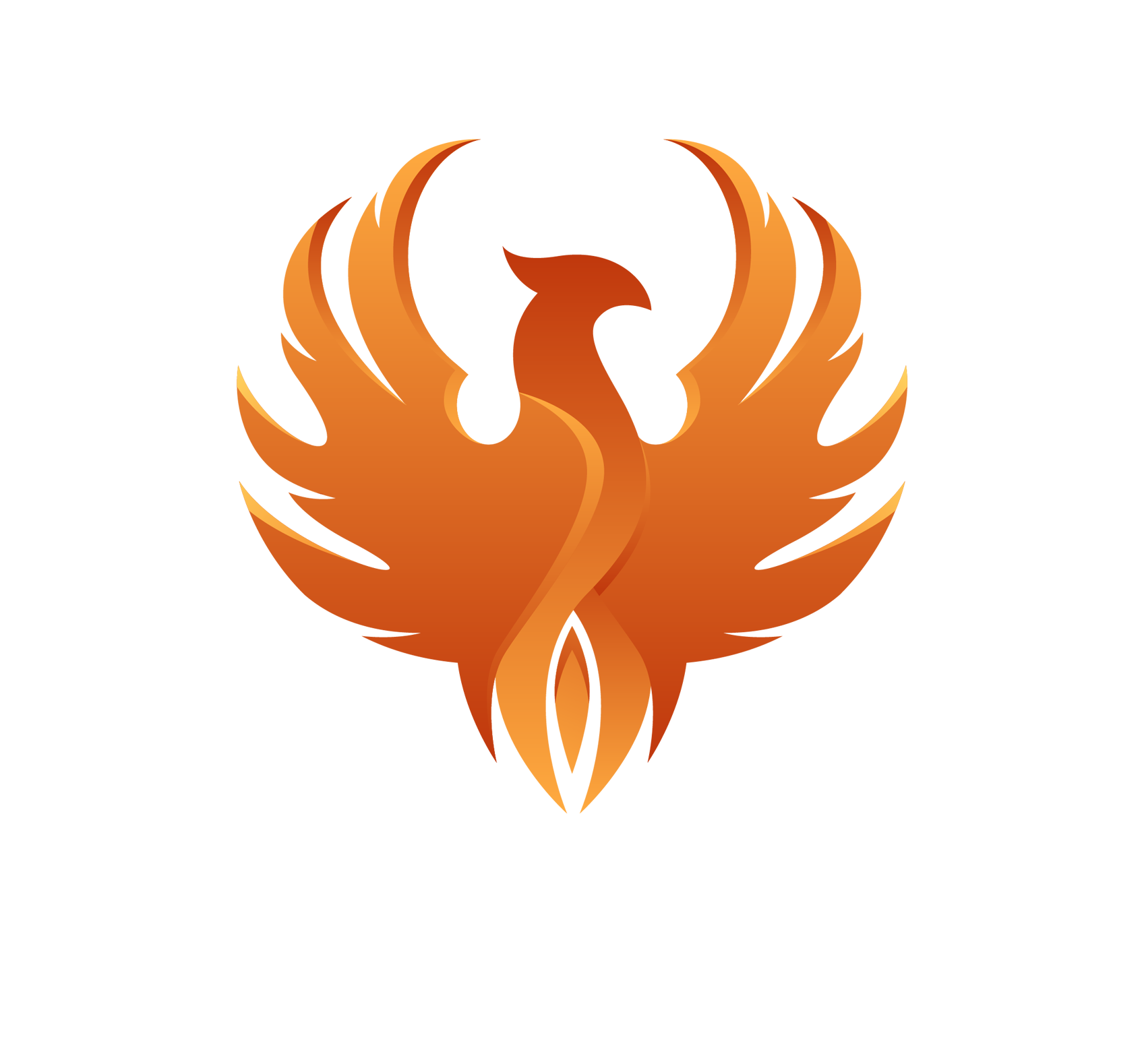 Phoenix Holdings